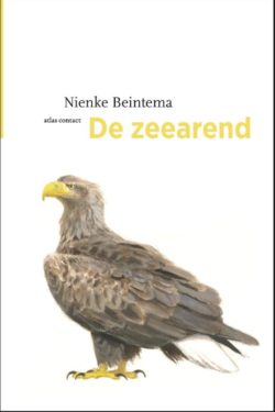 De zeearend