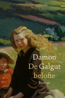 De belofte - Damon Galgut