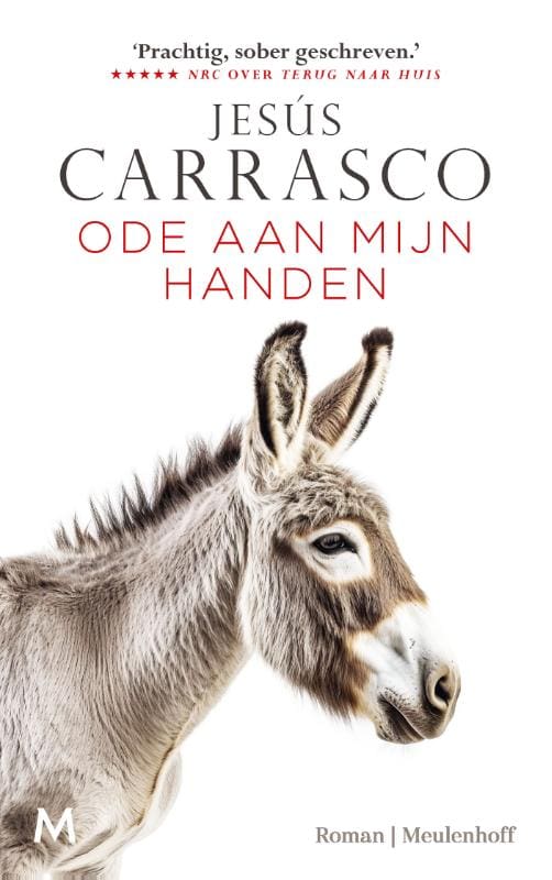 Ode aan mijn handen - Jesús Carrasco